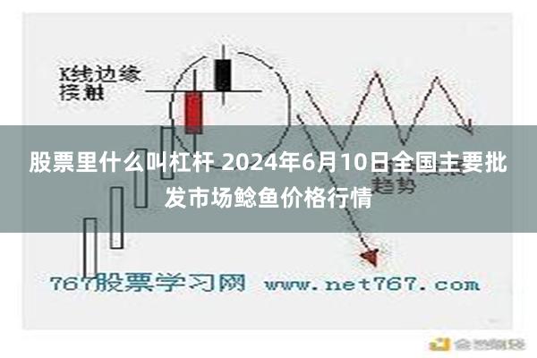 股票里什么叫杠杆 2024年6月10日全国主要批发市场鲶鱼价格行情