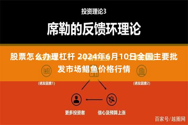 股票怎么办理杠杆 2024年6月10日全国主要批发市场鲳鱼价格行情