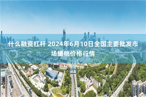 什么融资杠杆 2024年6月10日全国主要批发市场蟠桃价格行情