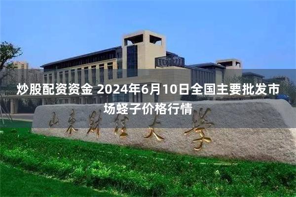 炒股配资资金 2024年6月10日全国主要批发市场蛏子价格行情