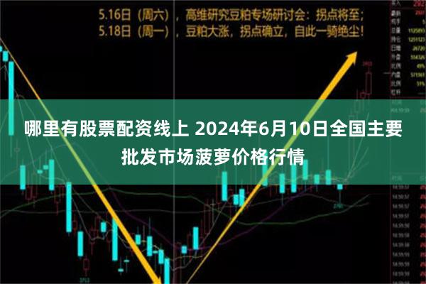 哪里有股票配资线上 2024年6月10日全国主要批发市场菠萝价格行情