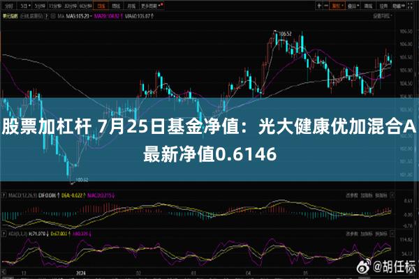 股票加杠杆 7月25日基金净值：光大健康优加混合A最新净值0.6146