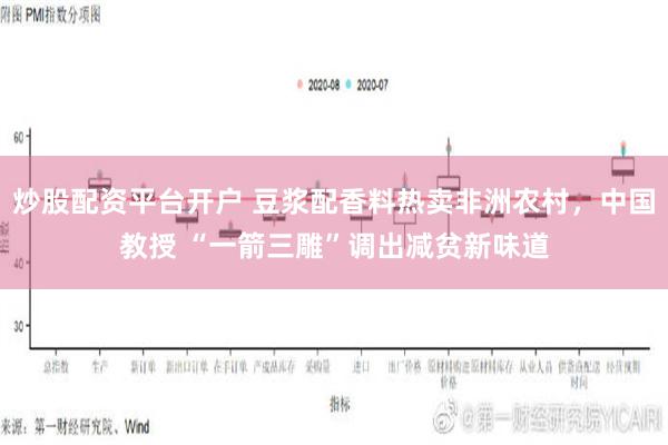 炒股配资平台开户 豆浆配香料热卖非洲农村，中国教授 “一箭三雕”调出减贫新味道