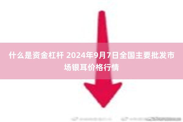 什么是资金杠杆 2024年9月7日全国主要批发市场银耳价格行情