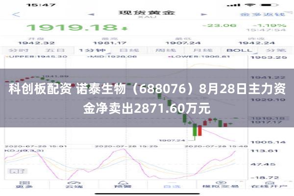 科创板配资 诺泰生物（688076）8月28日主力资金净卖出2871.60万元