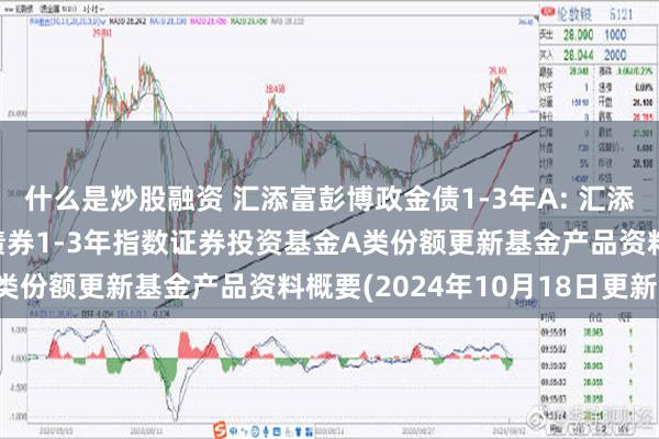 什么是炒股融资 汇添富彭博政金债1-3年A: 汇添富彭博中国政策性银行债券1-3年指数证券投资基金A类份额更新基金产品资料概要(2024年10月18日更新)