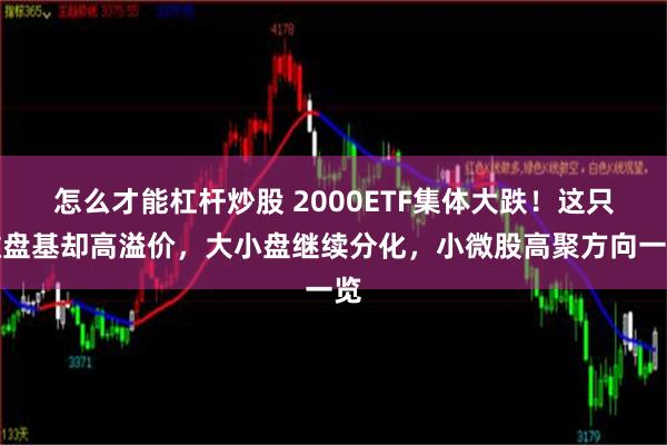 怎么才能杠杆炒股 2000ETF集体大跌！这只微盘基却高溢价，大小盘继续分化，小微股高聚方向一览