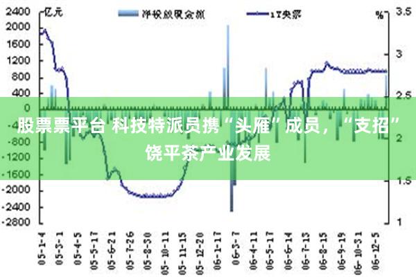 股票票平台 科技特派员携“头雁”成员，“支招”饶平茶产业发展