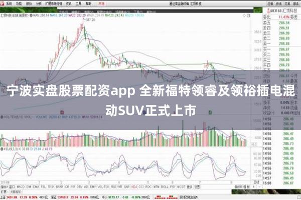 宁波实盘股票配资app 全新福特领睿及领裕插电混动SUV正式上市